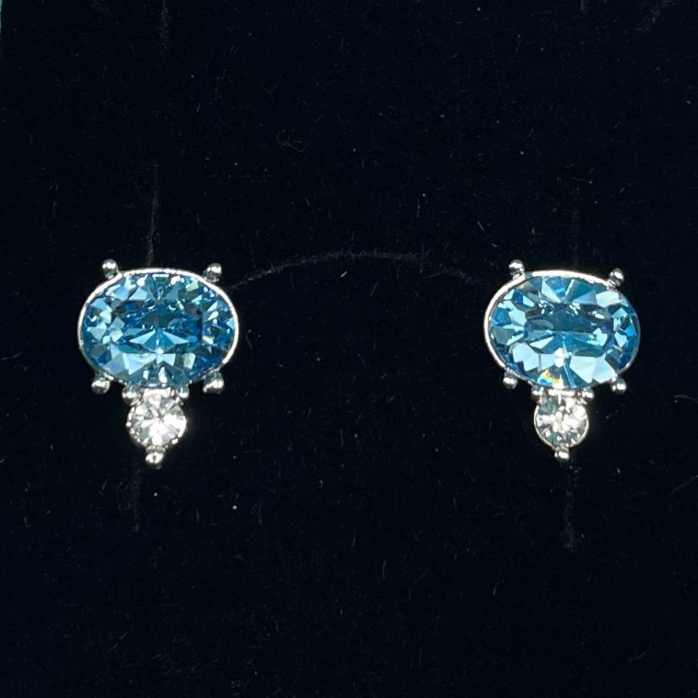 Blue & White Ice Crystal Earrings w/Gift Box - NEW
